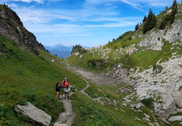 Trail Walking Samoëns - SAMOENS: LES ALLAMANDS - BOSTAN (CHALETS - REFUGE - COL  - TETE) - GOLESE - Photo