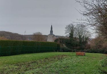 Randonnée Marche Fosses-la-Ville - Fosses la Ville 100123 - Photo