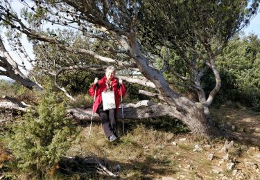 Excursión Senderismo Laudun-l'Ardoise - Camp César 1 - Photo