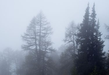 Tocht Te voet Gemeinde Nauders - Nauders Wanderweg Nr. 26 - Photo