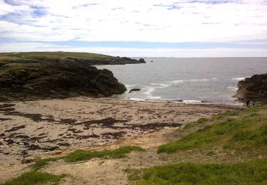 Excursión A pie Quiberon - Côte sauvage - Photo