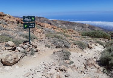 Randonnée Marche La Orotava - Canaries - Tenerife  - Ascension du Guajara - Photo