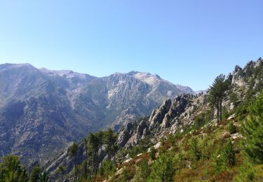 Tour Wandern Corte - Tour d'Alzu - Photo