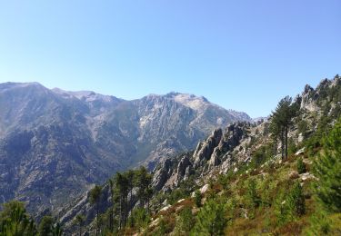 Excursión Senderismo Corte - Tour d'Alzu - Photo