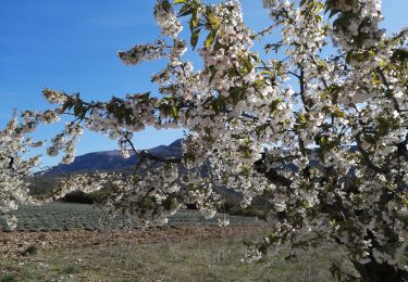 Trail Walking Saint-May - le rocher du caire - Photo