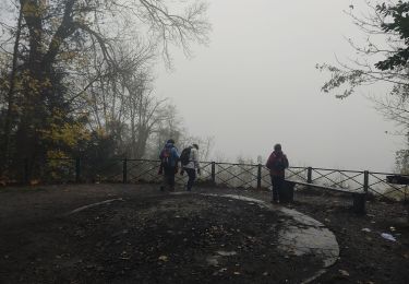 Tocht Stappen Saint-Cloud - Du pont de St Cloud à Chatou  - Photo