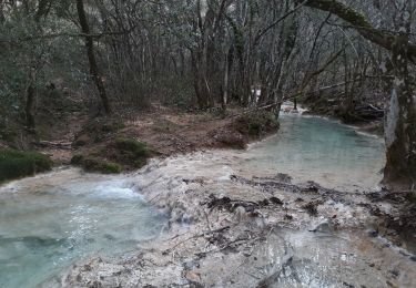 Excursión Senderismo Saint-Zacharie - source de  l huveaune par le pas de peyruis  dde christian - Photo