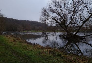Tour Wandern Hotton - hotton ac 7 - Photo
