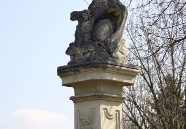 Tocht Te voet Gemeinde Wimpassing an der Leitha - Wimpassing - Stern (Anschluß Hornstein - Loretto) - Photo