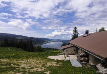 Tour Wandern L'Abbaye - 51-Dent de Vaulion-Le Pont - Photo