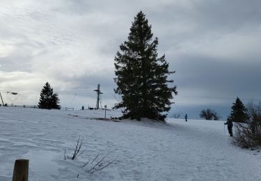 Tocht Stappen Neuviller-la-Roche - nateviller, champ du feu  - Photo