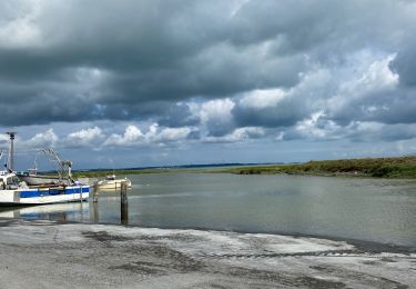 Trail Electric bike Le Vivier-sur-Mer - Le vivier sur mer - Photo