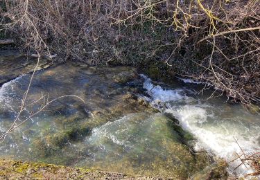 Tocht Te voet Reutlingen - Betzingen-Breitenbach-Ruoffseck - Photo