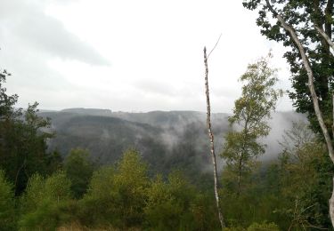 Trail Walking Houffalize - Debalisage 1 - Photo