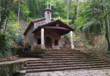 Percorso A piedi Olot - Camins de Pedra Tosca - Photo