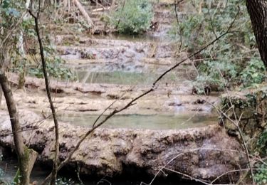 Tour Wandern Méounes-lès-Montrieux - le Gapeau - Photo