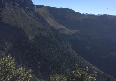 Trail Walking Saint-Pierre-de-Chartreuse - Bec de la scia reco  - Photo