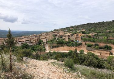 Tocht Stappen Alquézar - Balsa de basa il - Photo