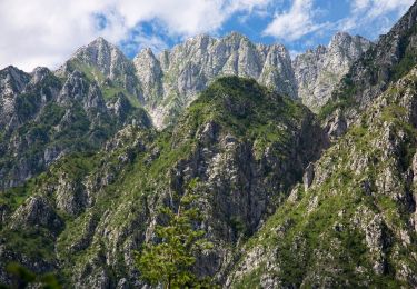 Tocht Te voet Lusevera - Sentiero Natura Valle Musi - Photo