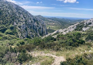 Trail Walking Saint-Rémy-de-Provence - Le plateau de Caume - Photo