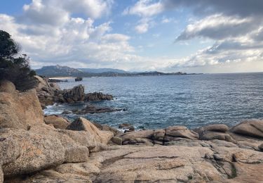 Randonnée Marche Sartène - Rando Tizzano  - Photo