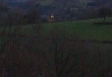 Trail Walking Manhay - Mormont  - Photo
