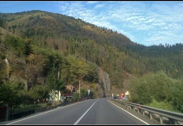 Percorso A piedi  - Stânceni-Poiana Zebrac - Photo