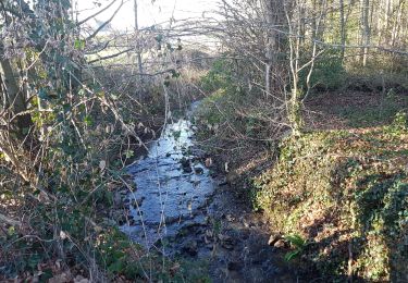 Tour Wandern Limours - Essonne_RD_Limours=>Viaduc=>Prédecelle=>Chaumusson - Photo