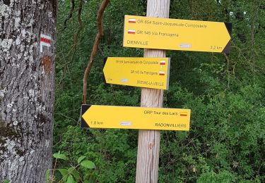 Trail Walking Dienville - Dienville pour le Matin - Photo