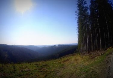 Tocht Mountainbike La Roche-en-Ardenne - activity_8521682946 - Photo