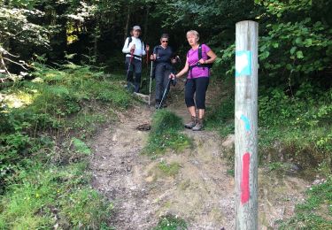 Excursión Senderismo Esparros - Pacte des loups - Photo