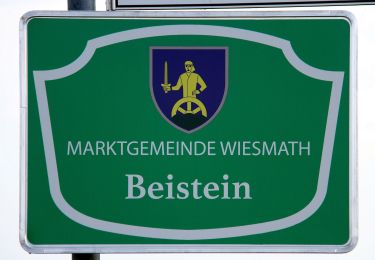 Percorso A piedi Gemeinde Wiesmath - Wiesmath - Lehen - Sommerhäuser - Schwarzenberg - Stadtweg - Wiesmath - Photo