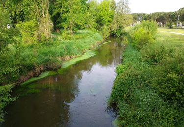 Tocht Stappen Saint-Médard-en-Jalles - Moulin de Gajac - Photo