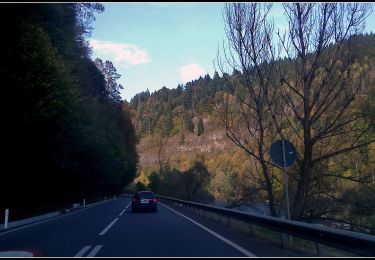 Excursión A pie  - Sălard -Creasta Heclan - Poiana Belciu - Poiana Iod - Photo