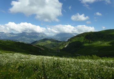 Tour Wandern Hauteluce - F73620 les Saisies mont de Vorès MJC - Photo