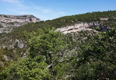 Trail Walking Monieux - chemins perdus des gorges de la nesque - Photo