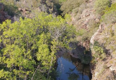 Percorso Marcia Roquebrune-sur-Argens - sral gorges du blavet 03/05/2023 - Photo