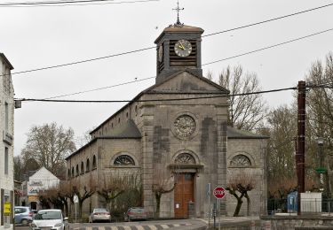 Randonnée A pied Viroinval - Le Mousti - Photo