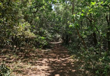 Trail Walking Le Verdon-sur-Mer - Verdon, Soulac (Boucle) - Photo