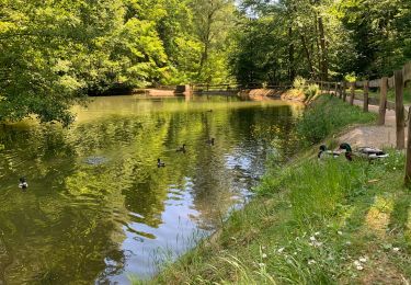 Percorso A piedi Erbach - Rundwanderweg Erbach 2: - Photo