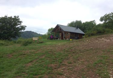 Randonnée Marche Roderen - Roderen-Abri du Hochburg - Photo