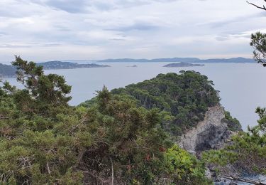 Tocht Stappen Hyères - giens - Photo