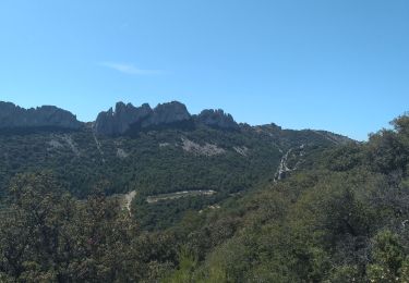 Excursión Senderismo Gigondas - Gigondas - Photo