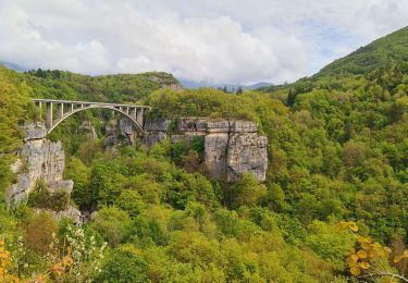 Tour Wandern Valserhône - Boucle  VALSERINE - Photo