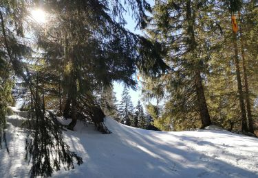 Tour Schneeschuhwandern Chapelle-des-Bois - la chapelle, le près d'haut - Photo