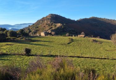 Trail Walking Les Plantiers - la Becede - Photo