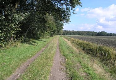 Tocht Te voet Gifhorn - Dragen-Triangel-Grenze - Photo