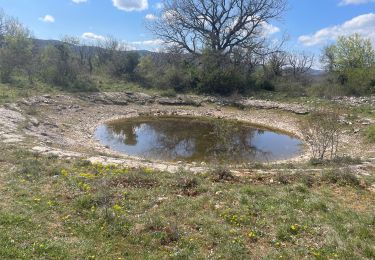 Tour Wandern Saint-Maurice-Navacelles - Les Rajols  - Photo