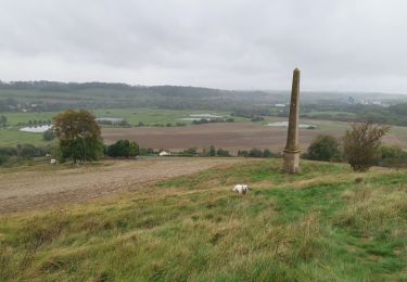 Randonnée Marche Arques-la-Bataille - forêt d'arques - Photo