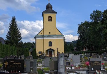 Excursión A pie Pstruží - Medvědí stezky - modry okruh - Photo